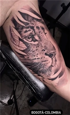 خالکوبی نصف ببر به چه معناست؟